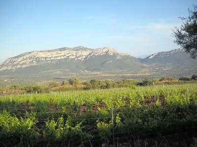 Paesaggio naturale nelle vicinanze dell'agriturismo