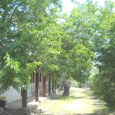 Agriturismo Su Tiresi