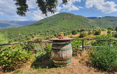 Vista generica sulle montagne o vista sulle montagne dall'interno della casa vacanze