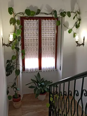 Planimetria di Casa Saba Lupino
