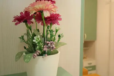 Bagno di la dolce vita -casa vacanze