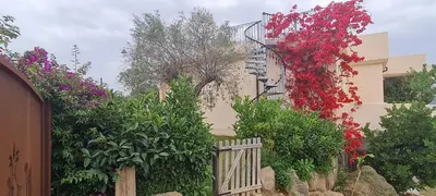Giardino di SUITE DELUXE OLBIA which wonderful view