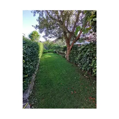 Giardino di Alzoni apartment