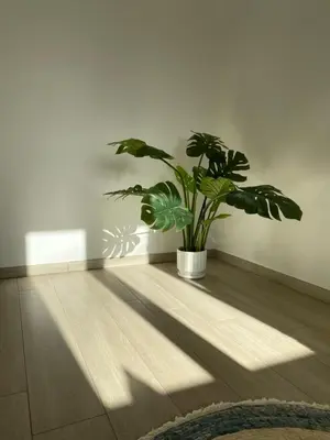 Planimetria di Casa Vacanza Emalí