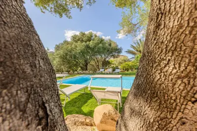 Piscina di STAZZO SAN TEODORO LA QUERCIA Piscina Condivisa o nelle vicinanze