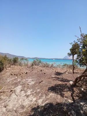 Paesaggio naturale nelle vicinanze della casa vacanze