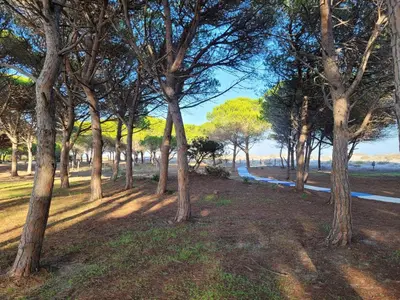 Paesaggio naturale nelle vicinanze dell'appartamento