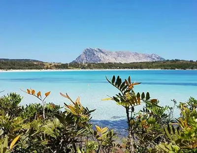 Paesaggio naturale nelle vicinanze della casa vacanze