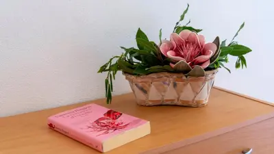 Planimetria di Casa dei Lidi