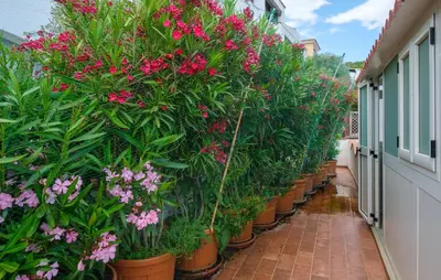 Giardino di 3 Bedroom Amazing Apartment In Posada