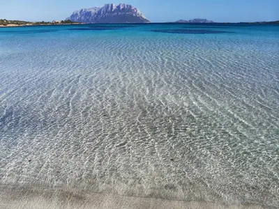Paesaggio naturale nelle vicinanze dell'affittacamere