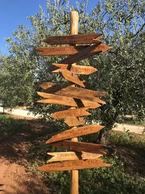 Planimetria di Villa Impetrata IUN Q7090