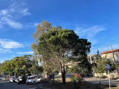 Planimetria di APPARTAMENTO LA CALETTA VACANZE