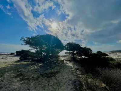 Paesaggio naturale nelle vicinanze dell'appartamento