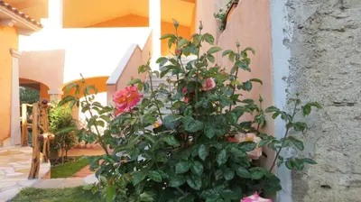Giardino di Il Viandante