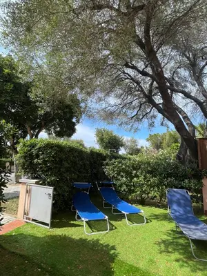 Giardino di Vecchio Ulivo PuntoCasaBudoni