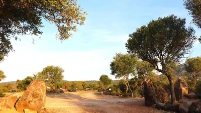 Paesaggio naturale nelle vicinanze della casa vacanze