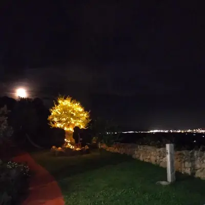 Planimetria di B&B Bellavista