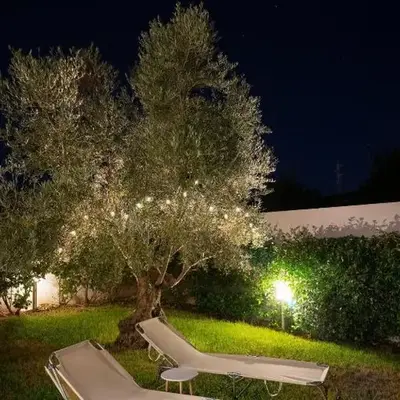 Sardinian Rhapsody