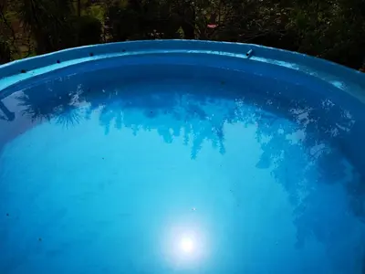 Piscina di Pinnettu sardo casa di campagna in ecosistema insetti e animaletti simpatici in condivisione,Leggere attentamente Prima di prenotare o nelle vicinanze