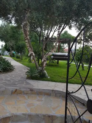 Giardino di GIARDINO DEL SOLE