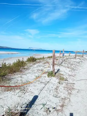 Paesaggio naturale nelle vicinanze della villa