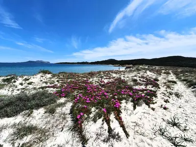 Paesaggio naturale nelle vicinanze dell'appartamento