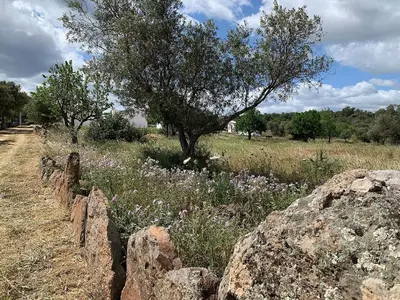 Paesaggio naturale nelle vicinanze dell'agriturismo