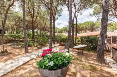 Giardino di RESIDENZE Coda Cavallo - Le Farfalle