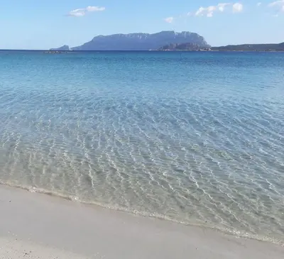 Paesaggio naturale nelle vicinanze dell'appartamento