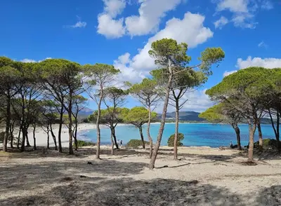 Paesaggio naturale nelle vicinanze dell'appartamento