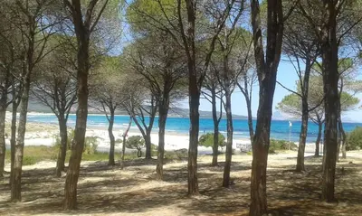 Paesaggio naturale nelle vicinanze dell'appartamento