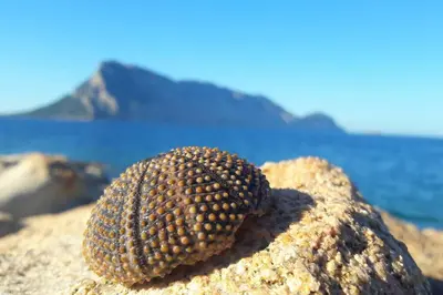 Paesaggio naturale nelle vicinanze della casa vacanze