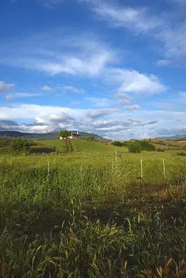 Paesaggio naturale nelle vicinanze della villa
