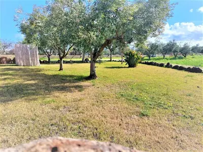 Giardino di Appartamenti Sisula Manna