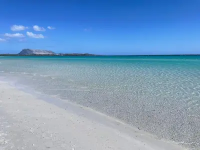 Planimetria di The Villa - San Teodoro