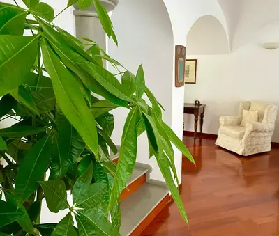 Area soggiorno di Casa Sterlizia [Olbia]