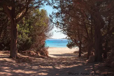 Paesaggio naturale nelle vicinanze dell'appartamento
