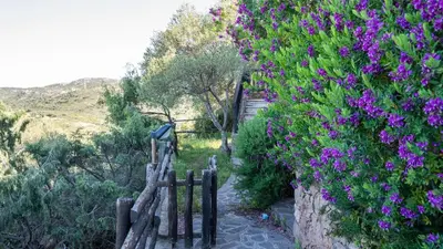 Paesaggio naturale nelle vicinanze dell'appartamento
