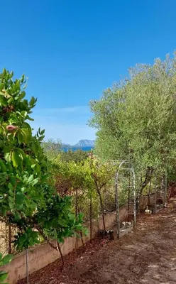 Paesaggio naturale nelle vicinanze dell'appartamento