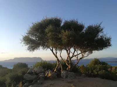 Paesaggio naturale nelle vicinanze dell'appartamento